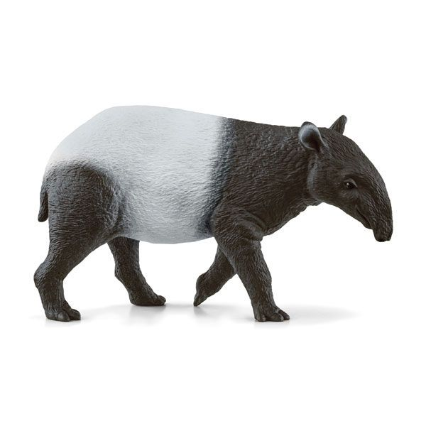 Tapir