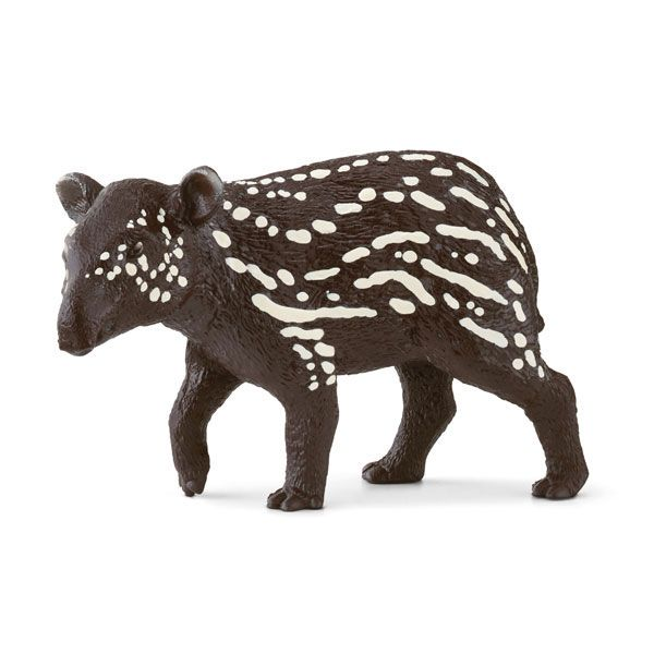 Tapir young version 1