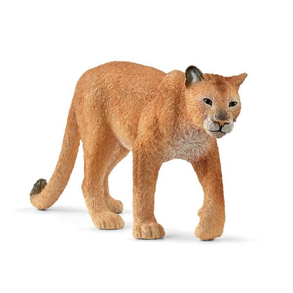 Cougar version 1