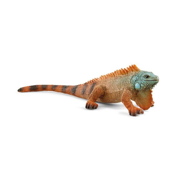 Iguana version 1