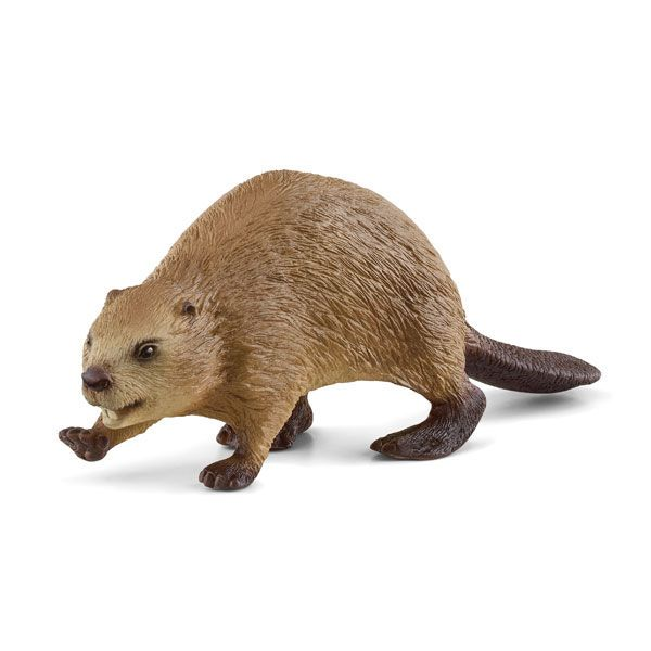 Beaver version 1