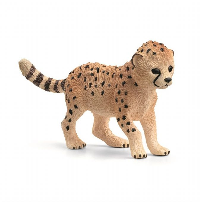 Cheetah cub version 1