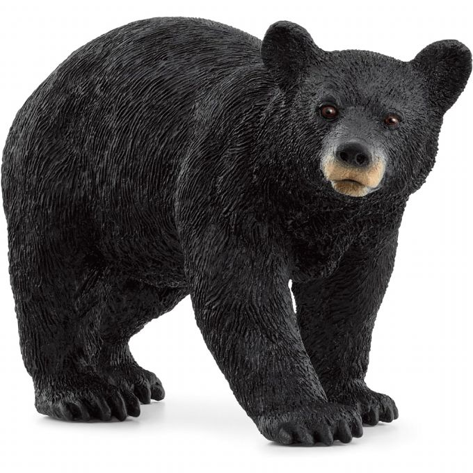 Amerikkalainen musta karhu (Schleich 14869)