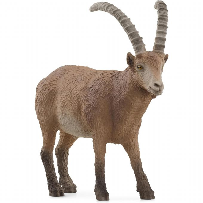 Steinbock version 1