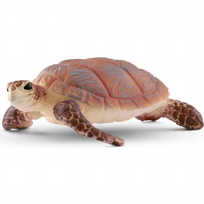 Hawksbill kilpikonna version 1