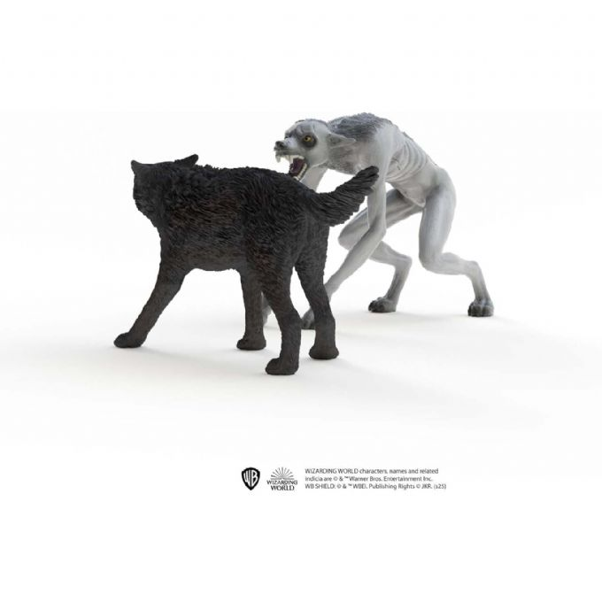 Varulv vs Animagus version 3