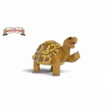 Kilpikonna Henrietta