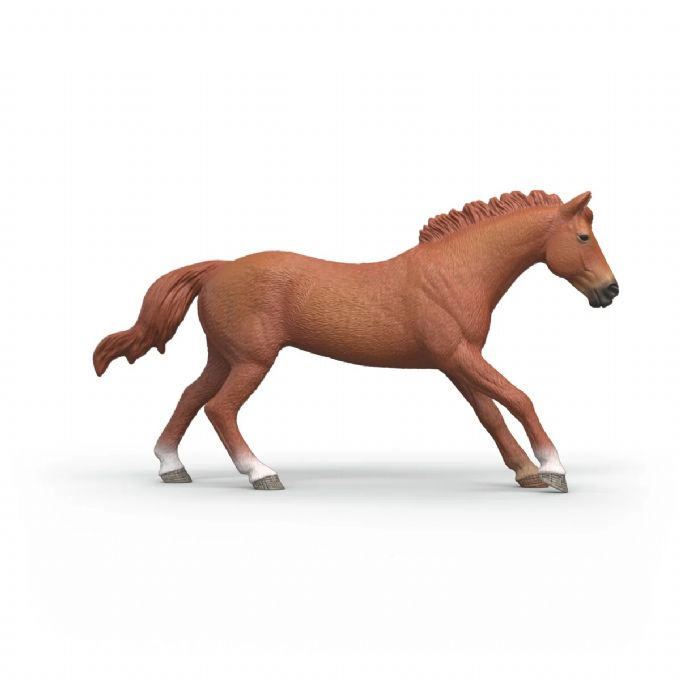 Engelsk fullblodshingst version 2