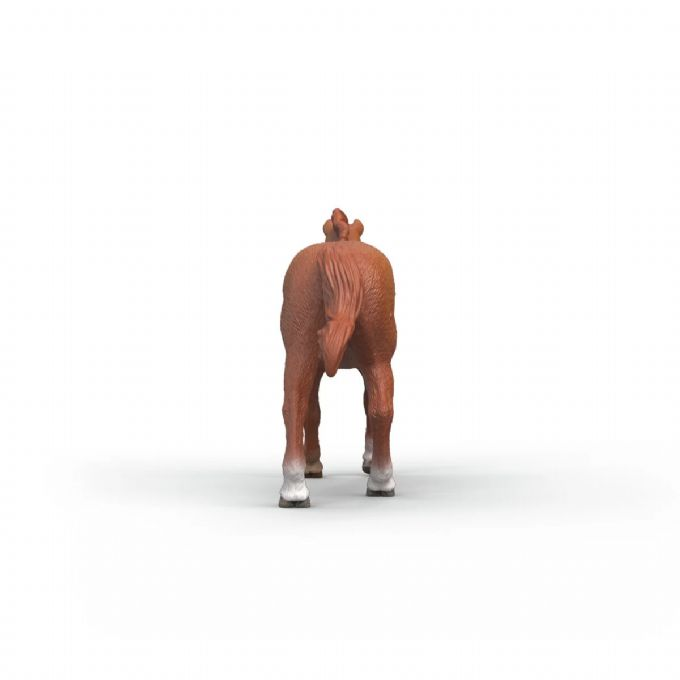 Engelsk fullblodshingst version 4