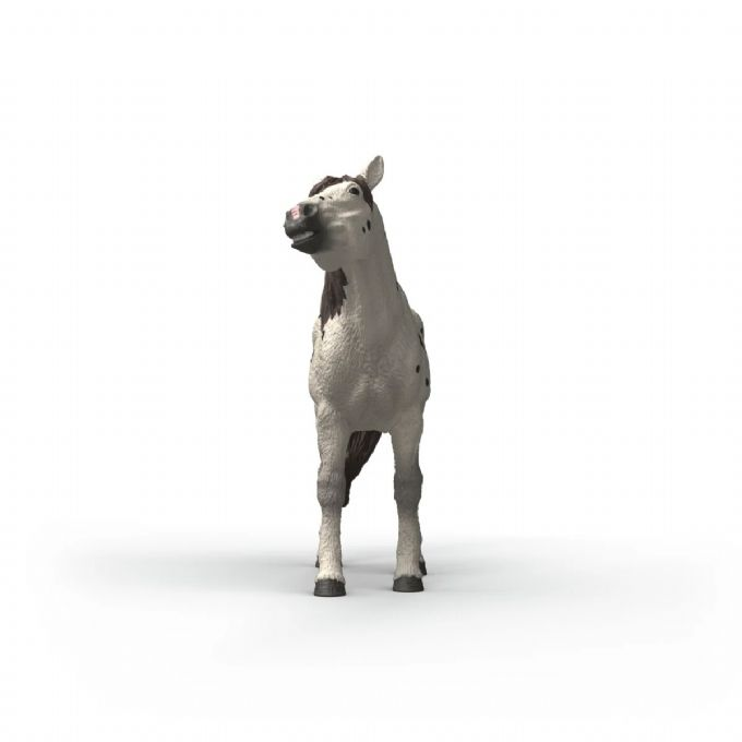 Knabstrupper-ruuna version 3