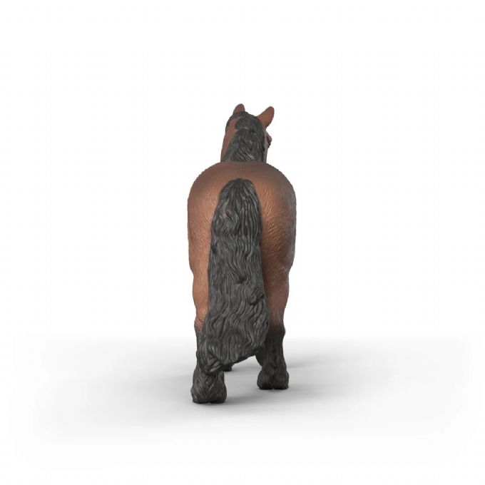 Pohjoisruotsalainen kylm�veritamma version 4