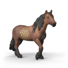 Nord-svensk kaldblodshoppe