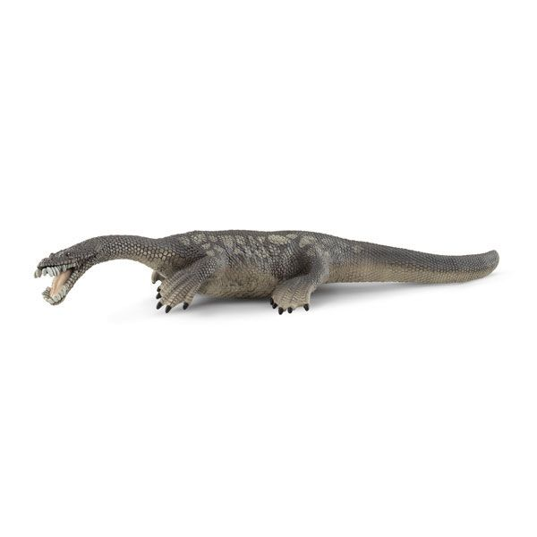 Billede af Nothosaurus