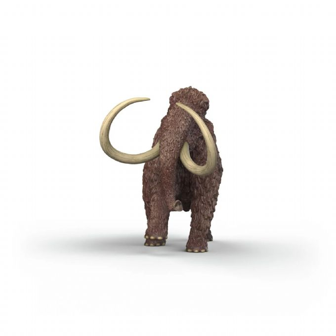 Mammut version 4