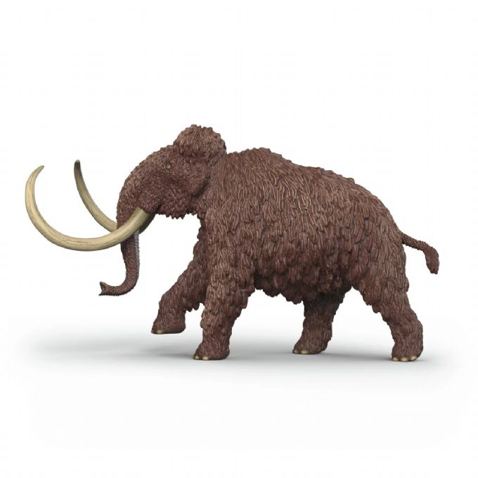 Mammut version 5