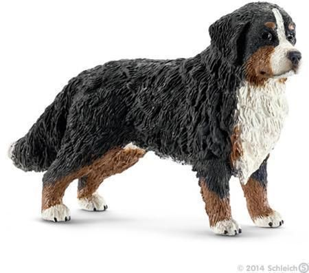 Bernese mountain dog, female version 1