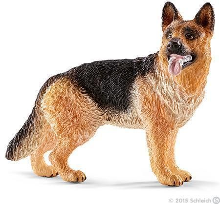 German shepherd dog version 1