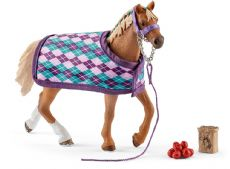 English thoroughbred with blanket