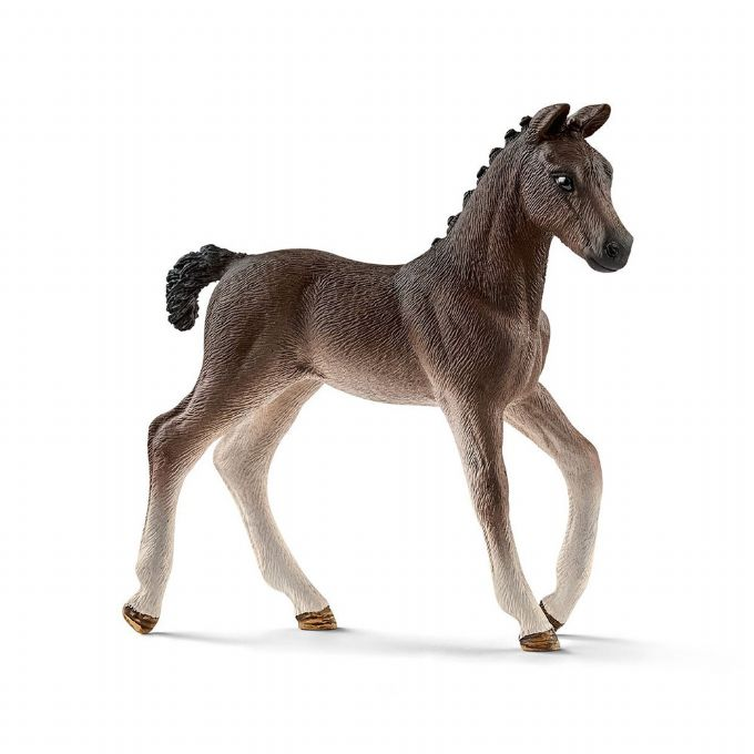 Mobile vet with Hanoverian foal version 7