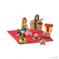 Bursdags-piknik