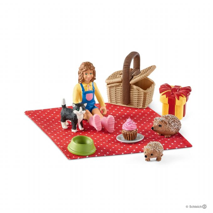 Bursdags-piknik version 1