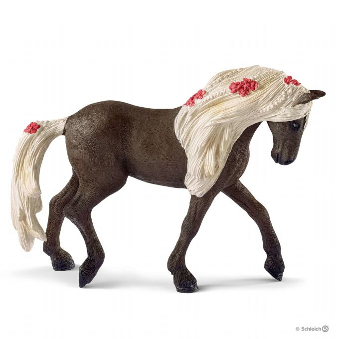 Rocky Mountain Horse-hoppe, hesteshow version 2