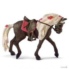 Rocky Mountain Horse-hoppe, hesteshow