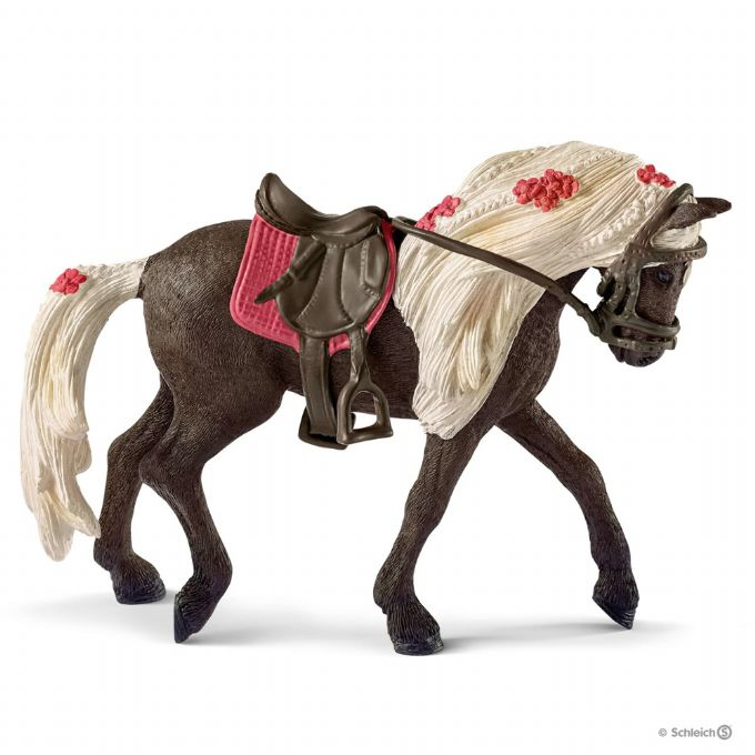 Rocky Mountain Horse-hoppe, hesteshow version 1