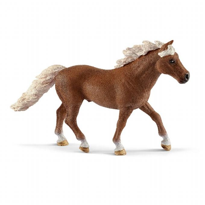 Pony, agility training version 7