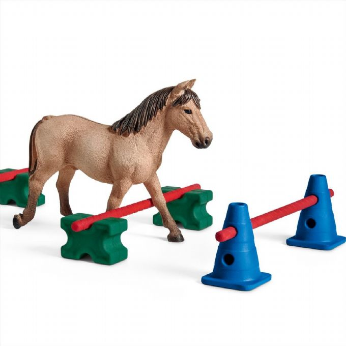 Pony, Slalom version 9