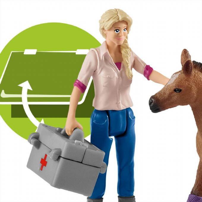 Doctor's visit to mare and foal version 8