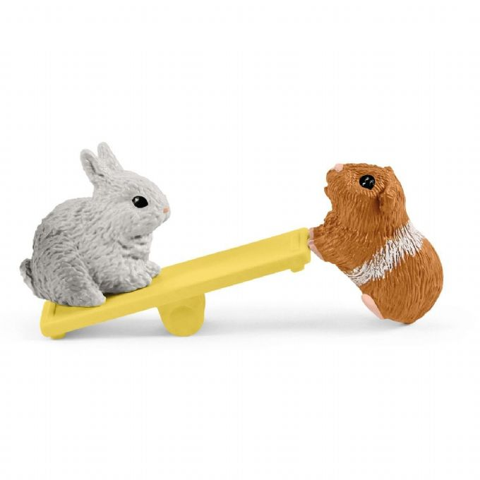 Kanin og marsvin trningsst version 3