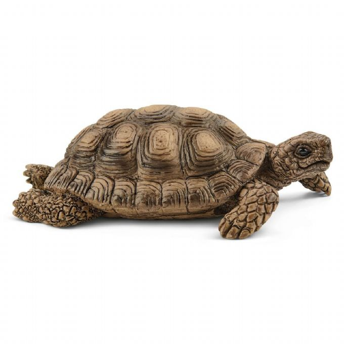 Schildkröte nach Hause - Schleich Wild Life 42506 Shop - Eurotoys.de