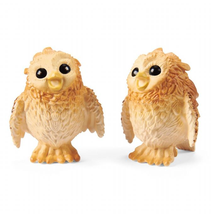 Hatching Owl Chicks version 6