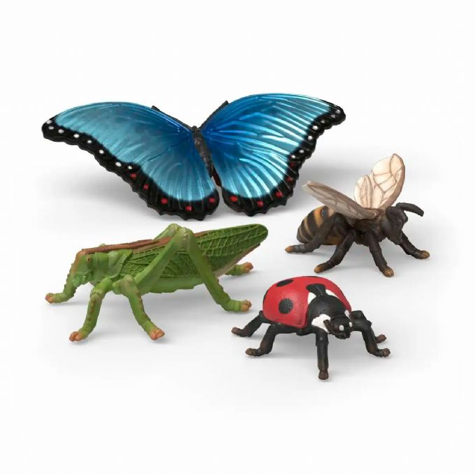 Insektoppdagelsessett version 1