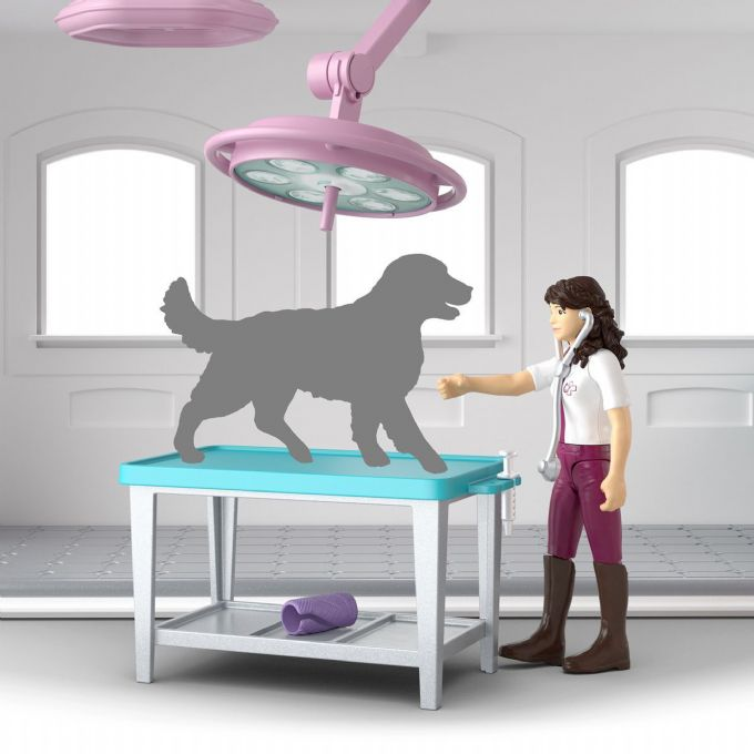 Hesteklinikk Healing Hoof version 7