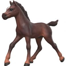 Colt Ravi