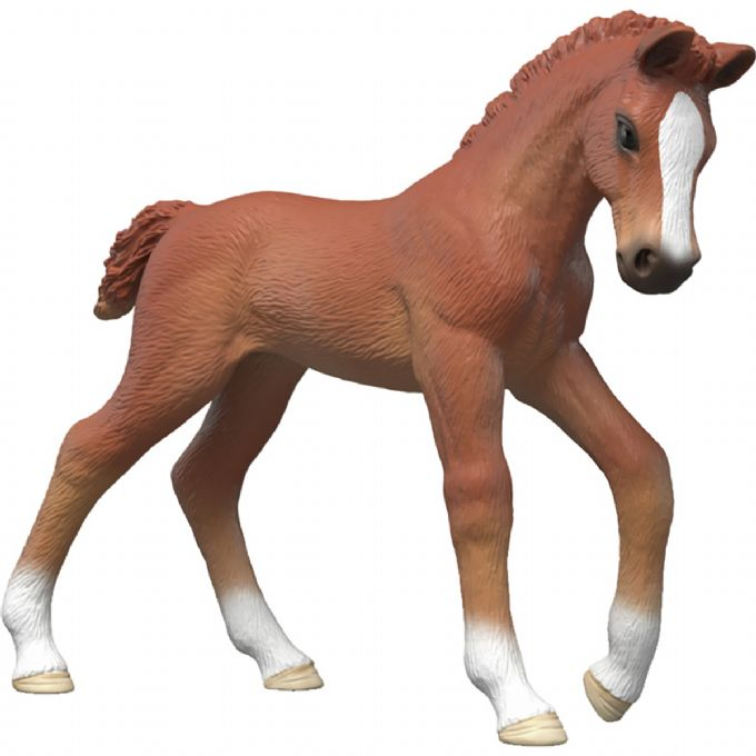 Rubinfohlen version 1