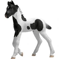 Colt Rocky