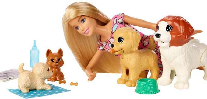 Barbie-koiran koulutussetti version 3