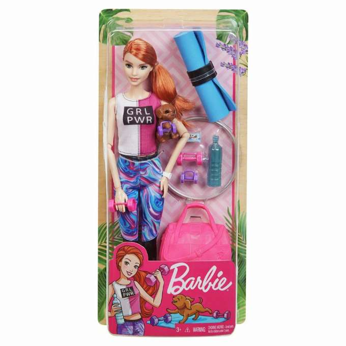 Barbie Wellness Doll Yoga version 2