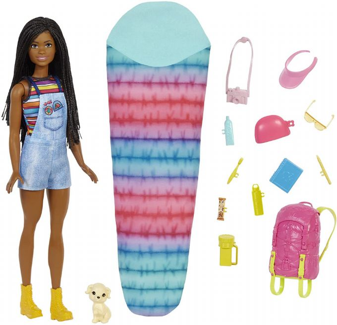Barbie Brooklyn Camping Doll with Puppy version 1