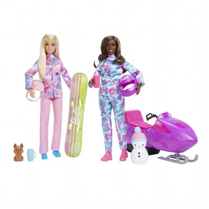 Barbie Winter Sports Playset Dolls Barbie Doll sports winter HGM75 Shop eurotoys speelgoed