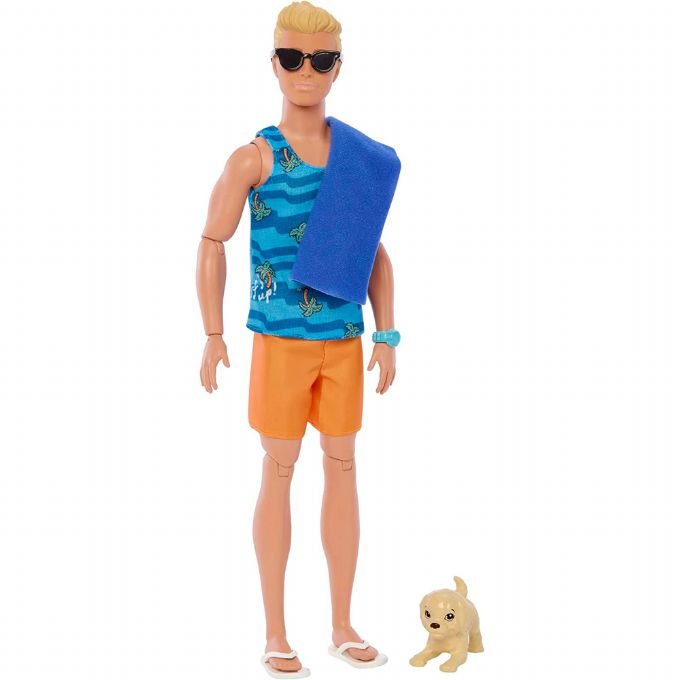 Barbie Surfer Ken -nukke version 4