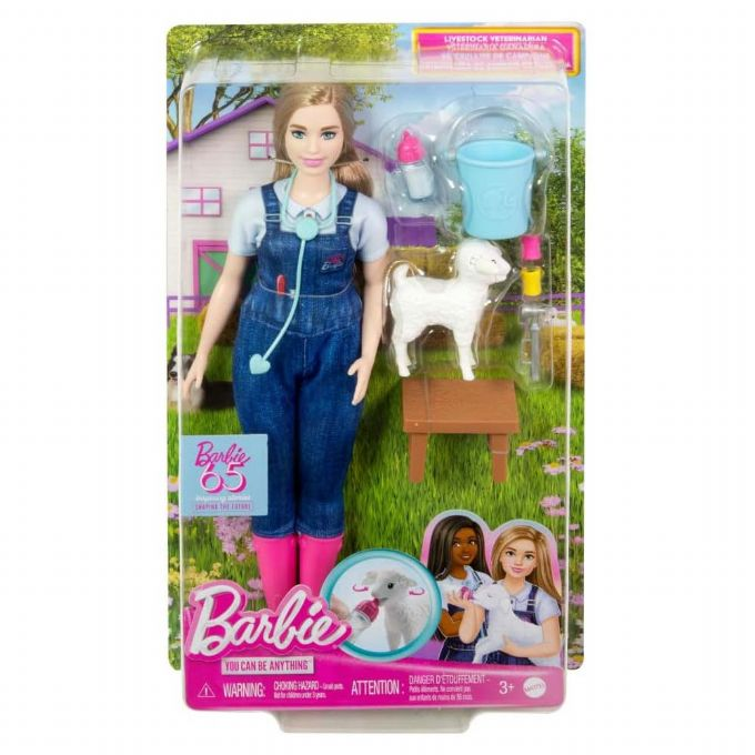 Barbie Farmhouse Veterinarian Doll version 2