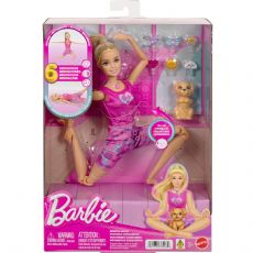 Barbie Wellness Meditaationukke JJN53 box