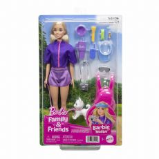 Barbie Family & Friends nukke JJV59 box