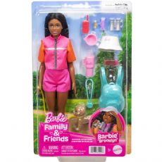 Barbie Family Friends Puppen J box
