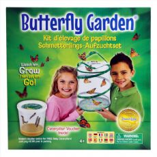 Butterfly garden without caterpillars