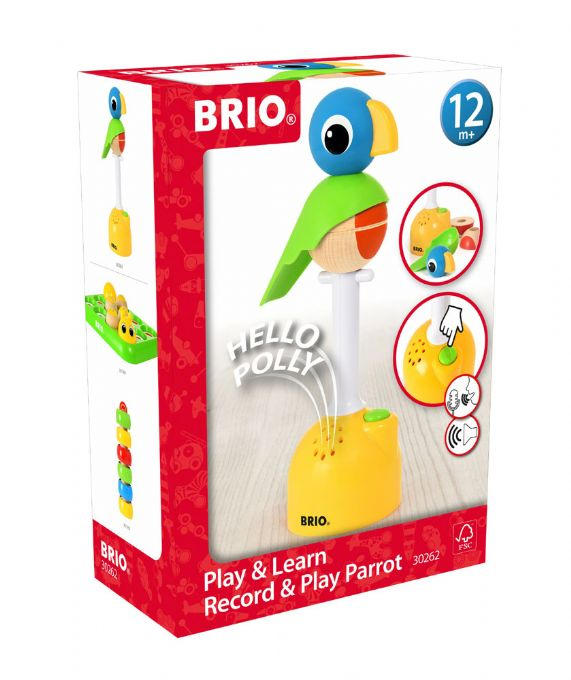 Play & Learn Record and Play Parrot version 2